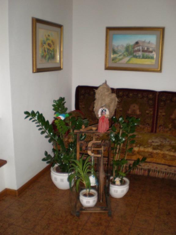 Oberlechnerhof Bed & Breakfast Rasun di Sopra Exterior photo